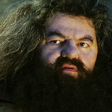 Profile image of Rubeus Hagrid