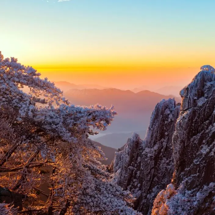 HonestWall0887의 친구 같은 연애는 개뿔