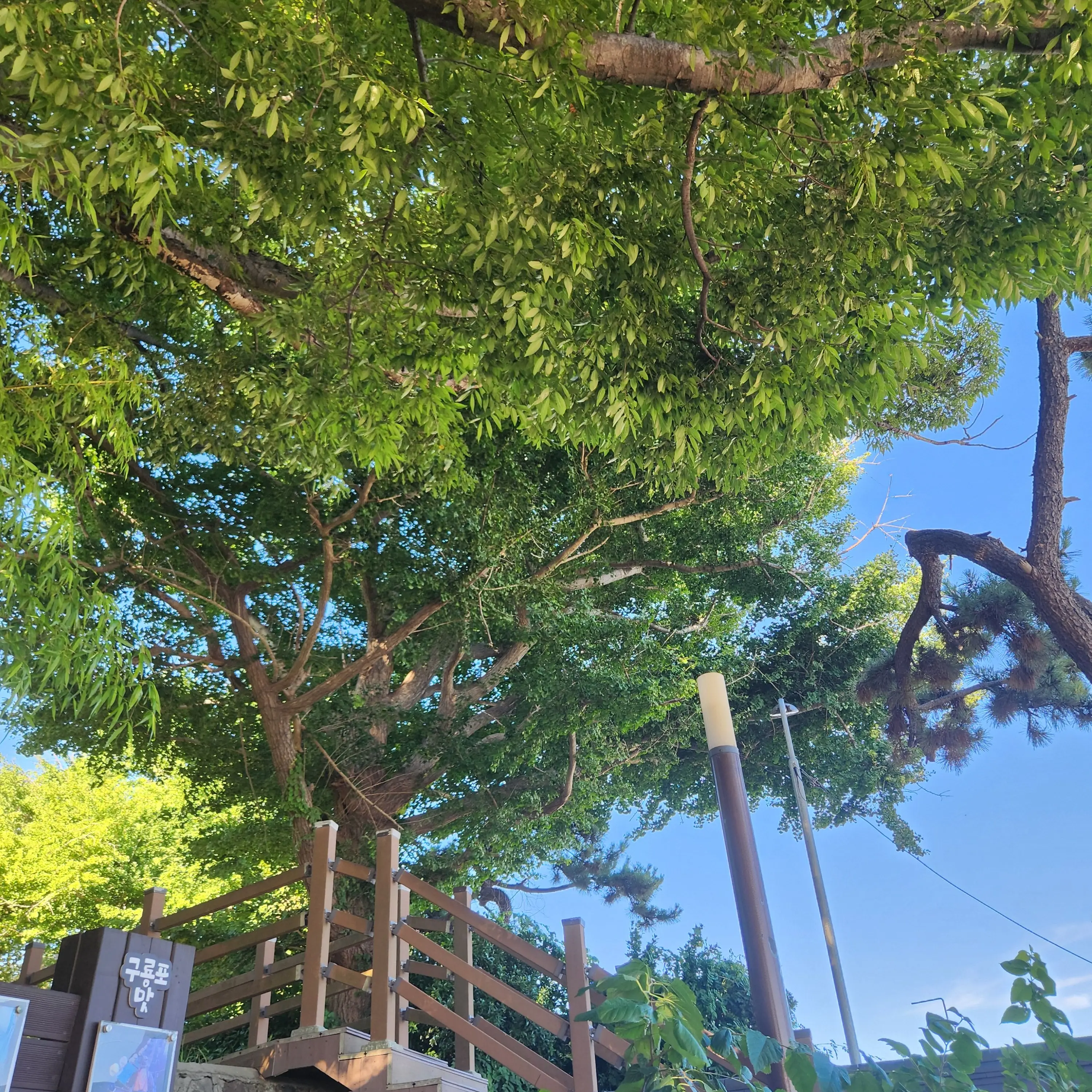 FlimsyWoman1115의 뜰팁학교