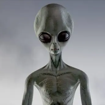 Profile image of The Greys