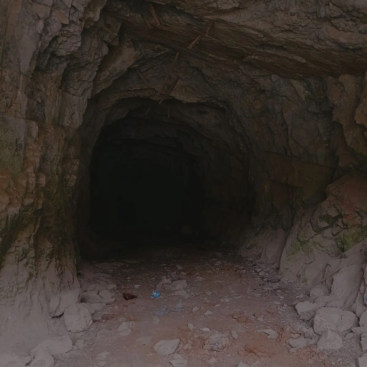 MellowBaiji5810의 첫만남