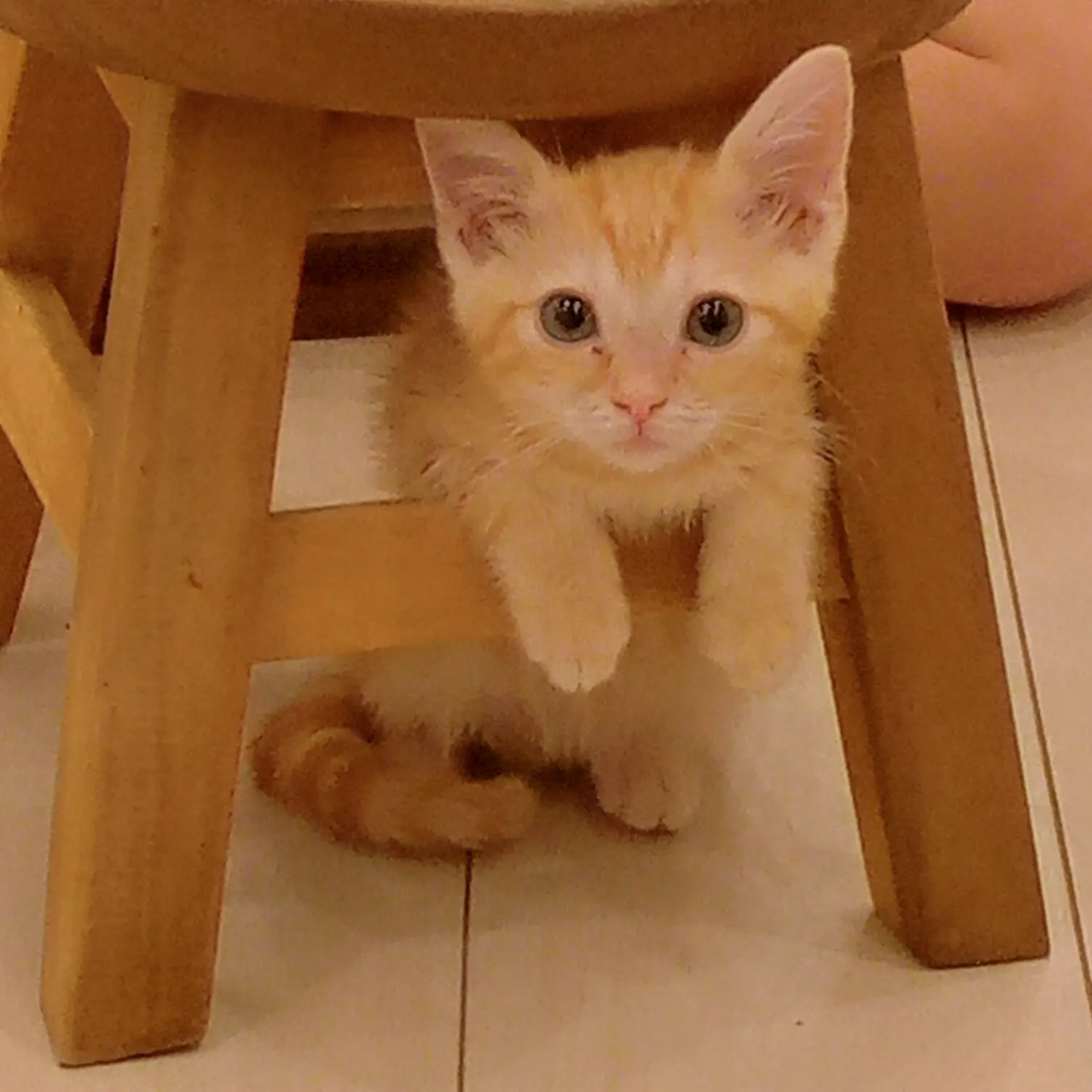 8529capmsr의 PG🦊🟣