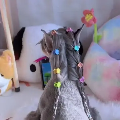 Profile image of 토미오카 체리