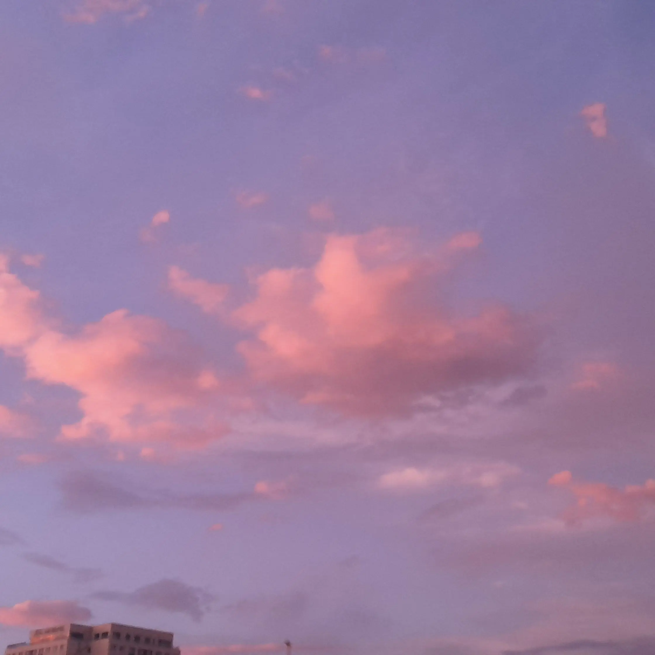 EggyIbis1724의 언슬전 함동호