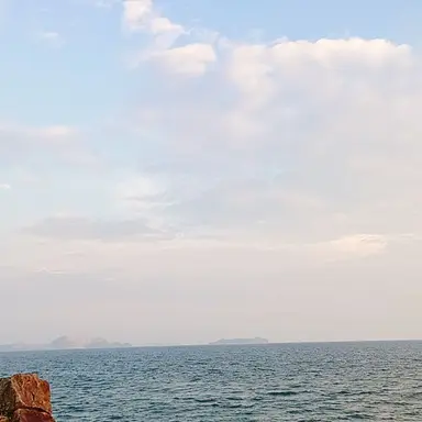 Profile image of 矢田佳暉