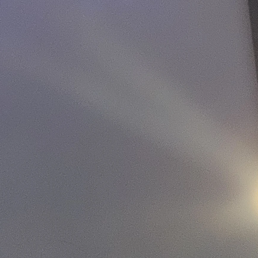 정도진