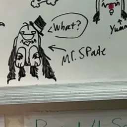 Profile image of Mr.Spade