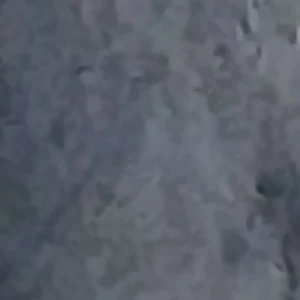 이지유