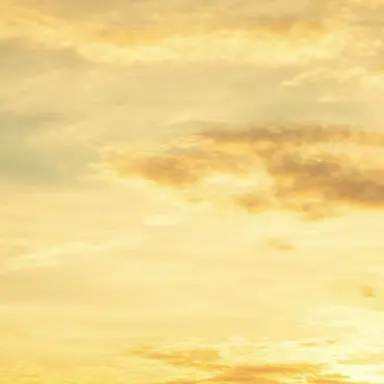 Profile image of 増田貴久