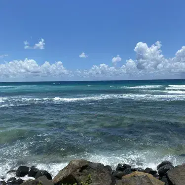 IllVideo3941의 Mha rockstar