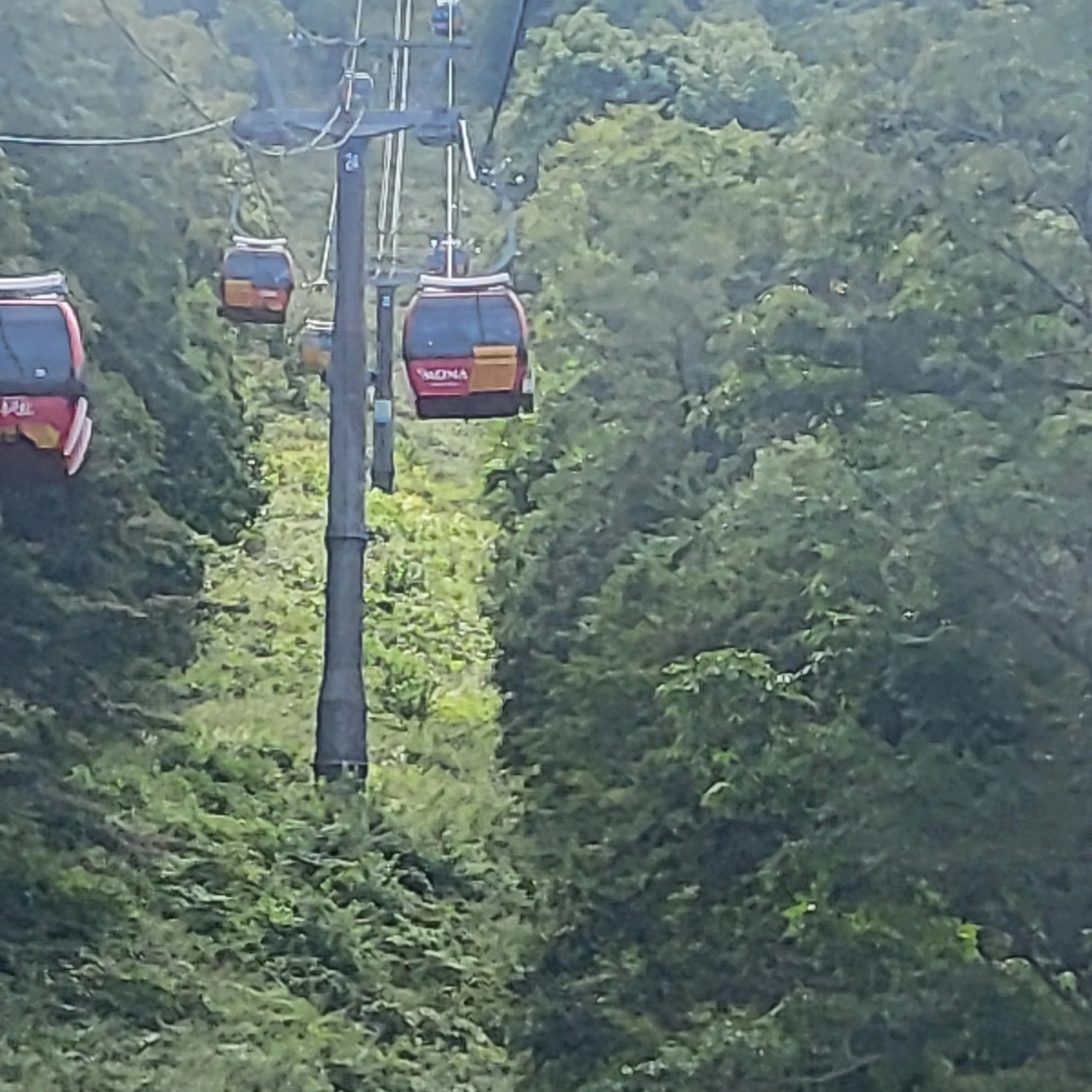 세봉고