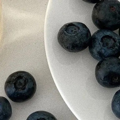 Profile image of 박잠뜰