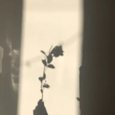 Profile image of 정공룡