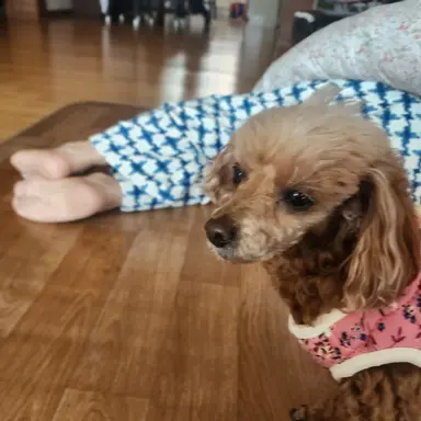 Profile image of 알루라