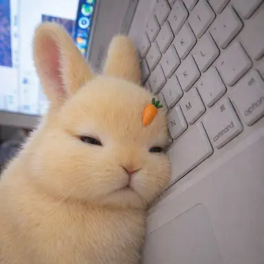 Profile image of 성화