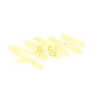 Profile image of 푸딩