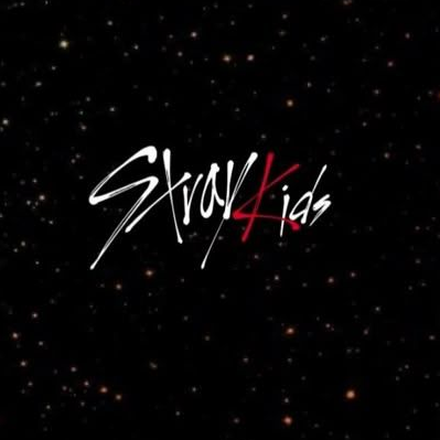 스트레이키즈 대표 이미지