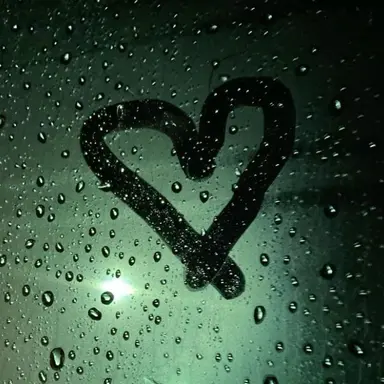 Profile image of 티푸