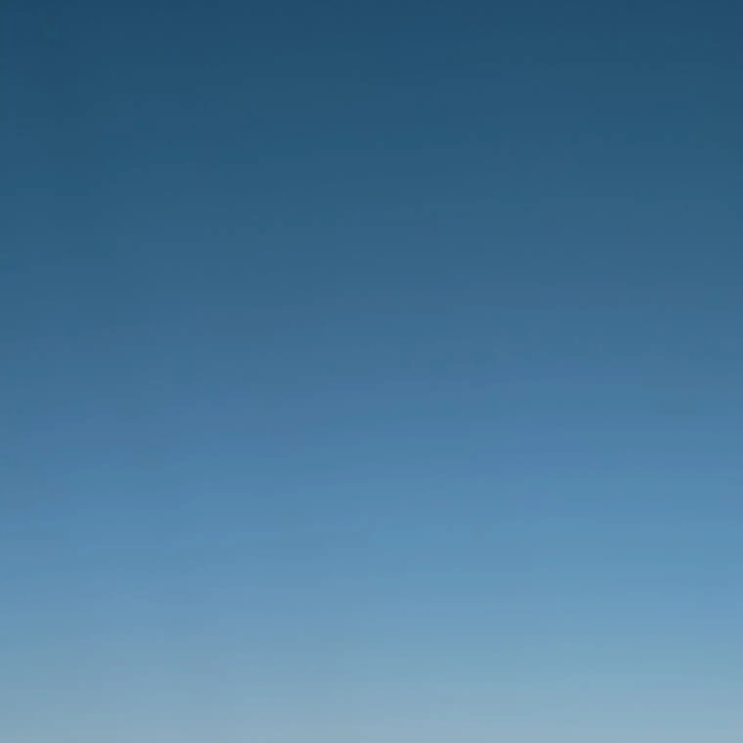 BulkyVest0681의 浮気。