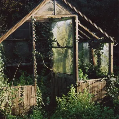 Profile image of 박덕개