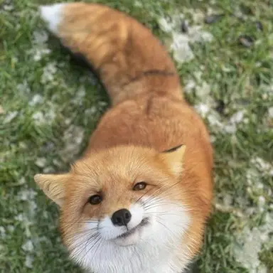Profile image of 부스