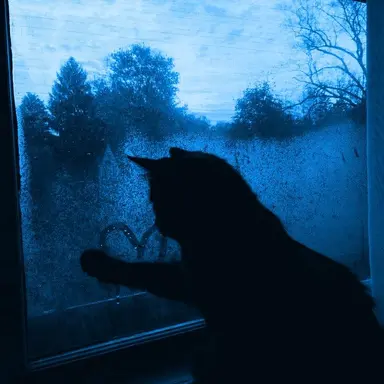 Profile image of イブラヒム