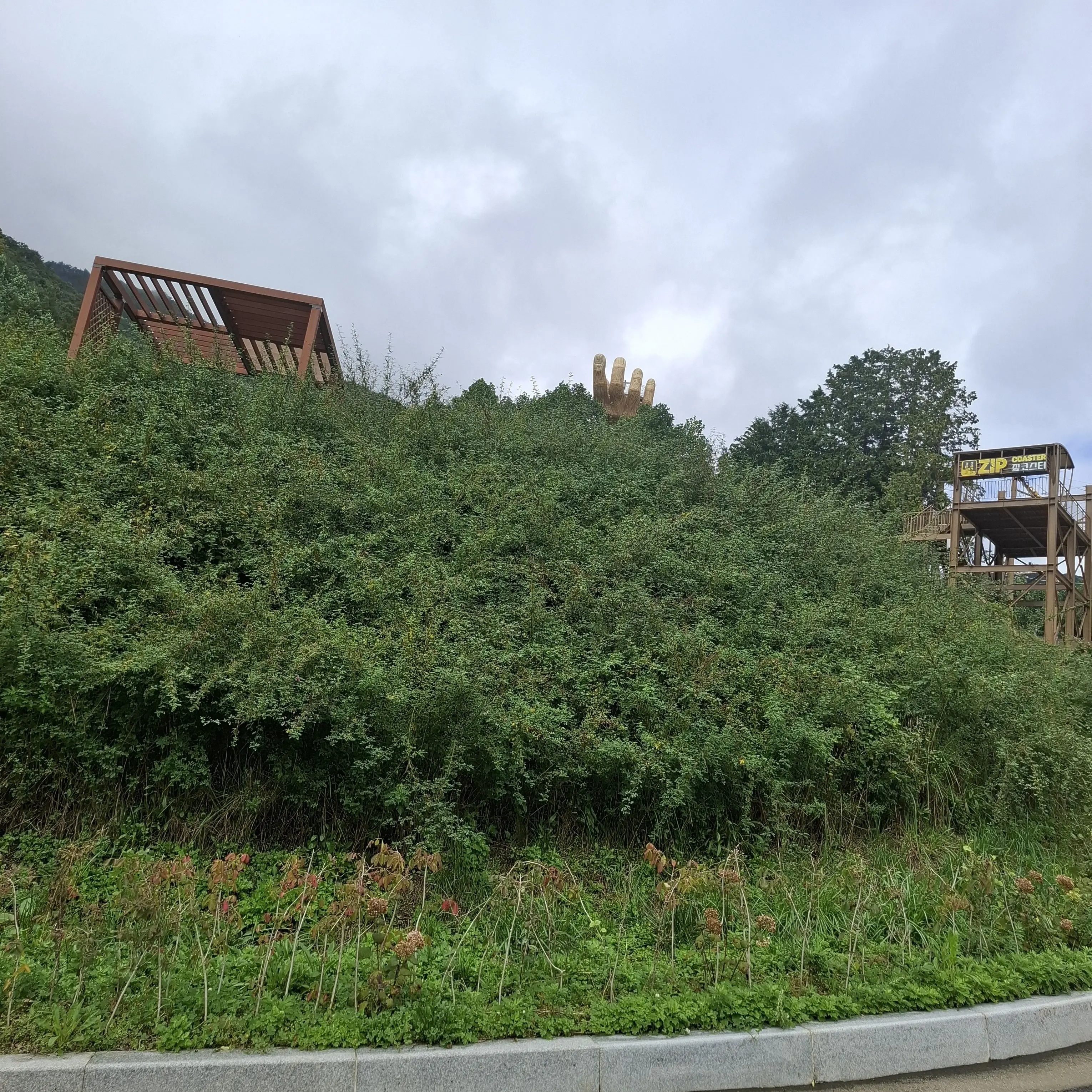 HUMAN_0909의 우리 가족들💞