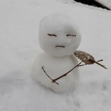 Profile image of 시미베