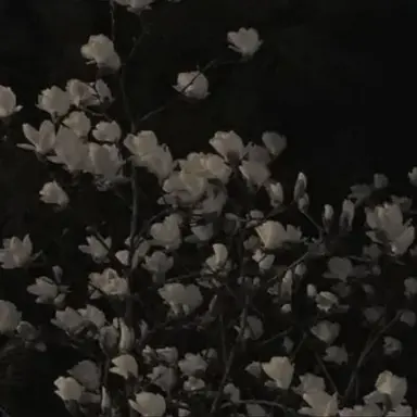 Profile image of 우융