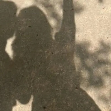 Profile image of 여우진