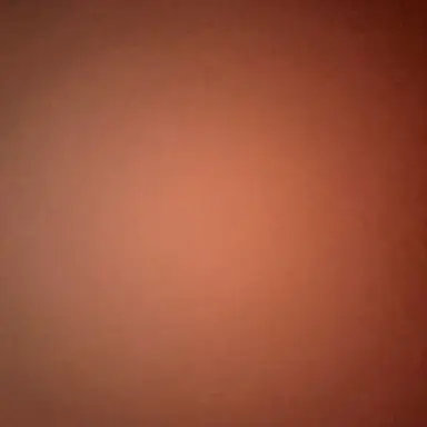 Profile image of 見届け人