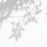 Profile image of 夜原裡雩