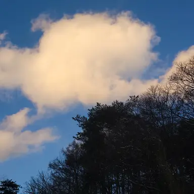 Profile image of 수현