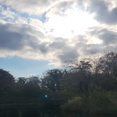 Profile image of 각별