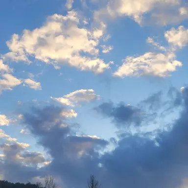 Profile image of 잠뜰