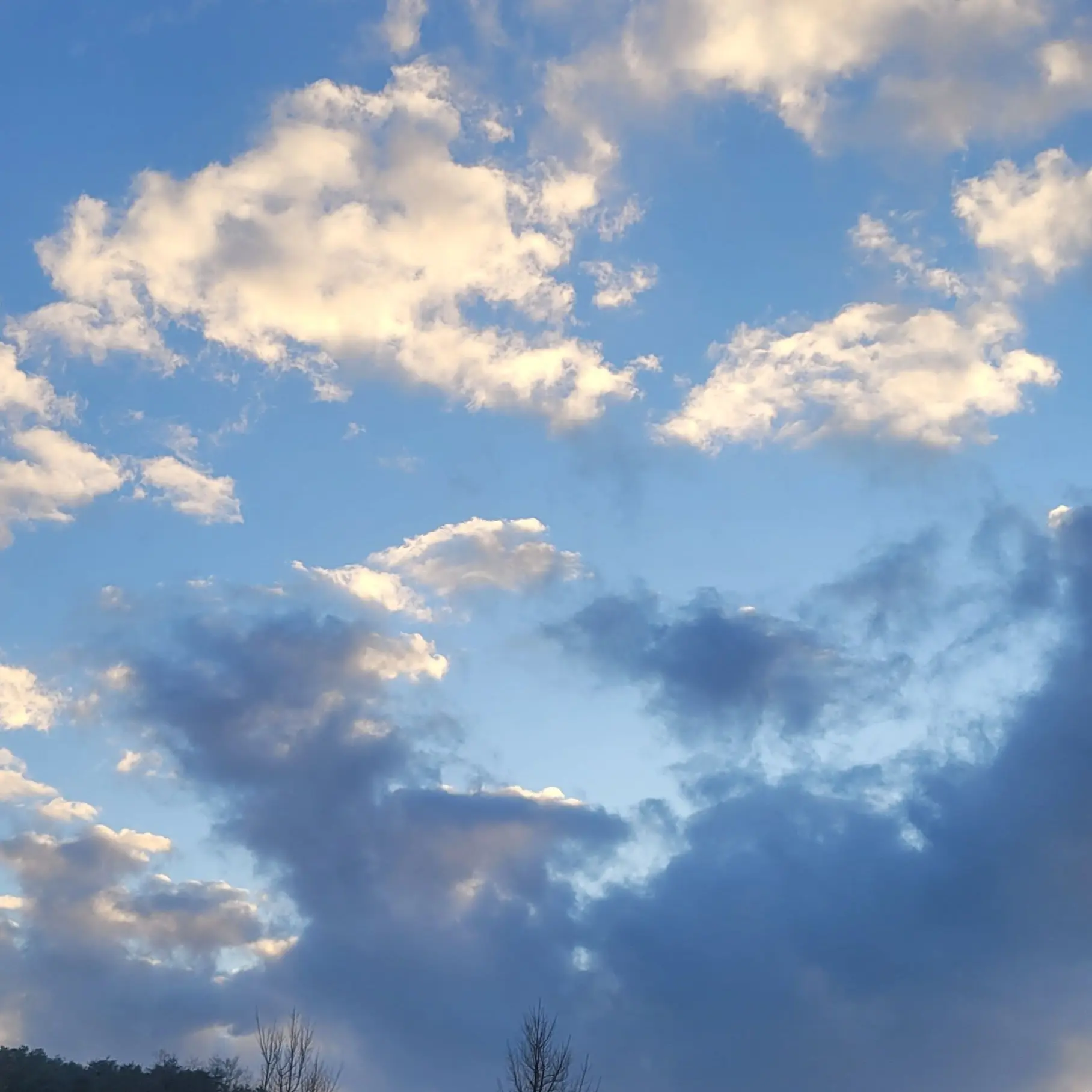 WiseCrown2117의 뜰팁 수학여행 여우