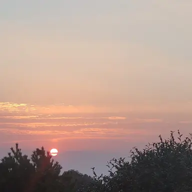 Profile image of 공룡