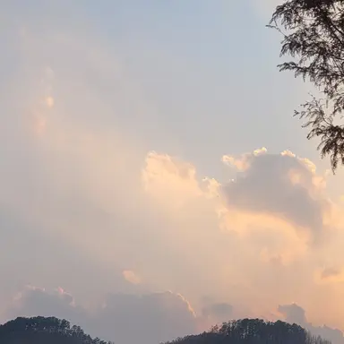 Profile image of 덕개