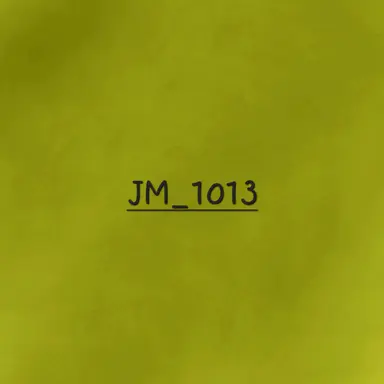 Profile image of JM_1013