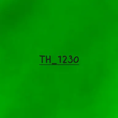 Profile image of TH_1230