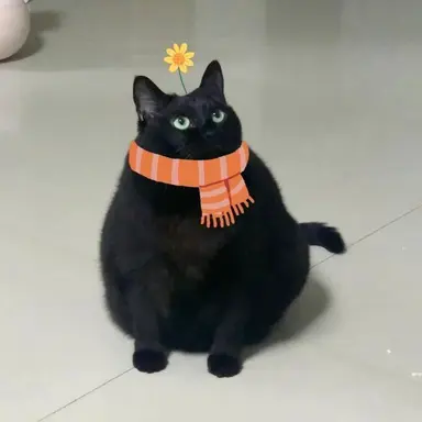 Profile image of パピー