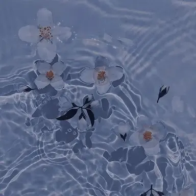 Profile image of こさめ