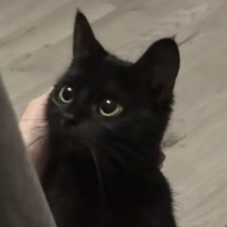 meoww.의 キラキラ美容師