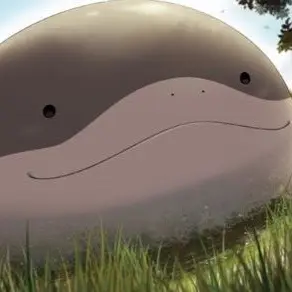 Profile image of 토오