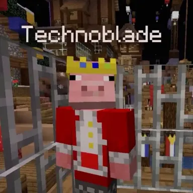 Profile image of Technoblade