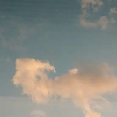 Profile image of 셀칼