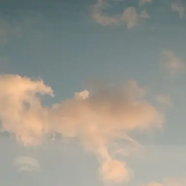 Profile image of 유기사