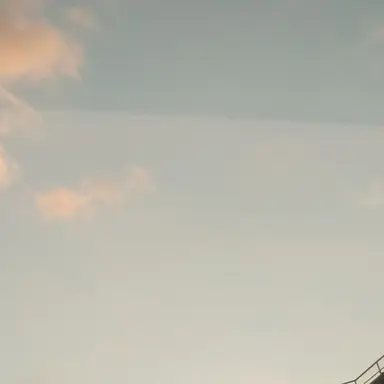 Profile image of 비럭키