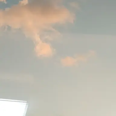 Profile image of 평학