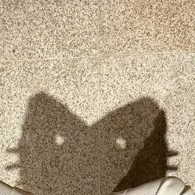 Profile image of 권지용